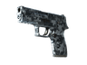 P250 | Steel Disruption