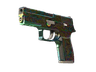 P250 | Visions