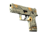 P250 | Modern Hunter