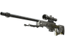 AWP | Worm God