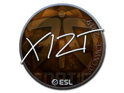 Sticker Slab | Xizt (Foil) | Katowice 2019