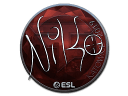 Sticker Slab | NiKo (Foil) | Katowice 2019