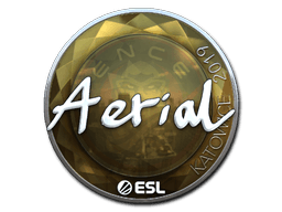 Sticker Slab | Aerial (Foil) | Katowice 2019