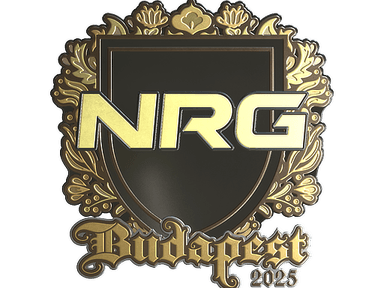 Sticker Slab | NRG (Gold) | Budapest 2025