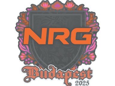 Sticker Slab | NRG | Budapest 2025