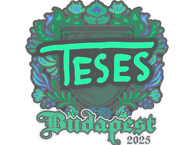 Sticker Slab | TeSeS | Budapest 2025