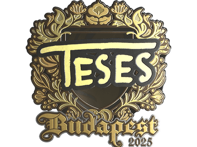 Sticker Slab | TeSeS (Gold) | Budapest 2025