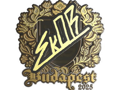 Sticker Slab | sk0R (Gold) | Budapest 2025