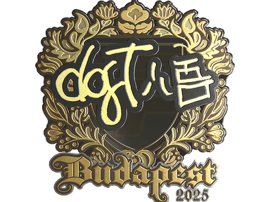 Sticker Slab | dgt (Gold) | Budapest 2025