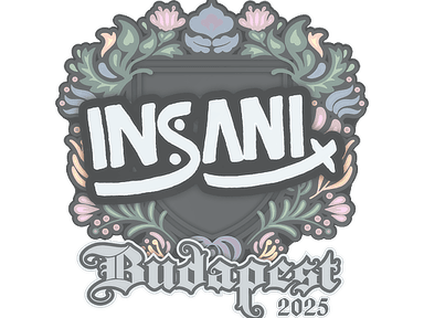 Sticker Slab | insani | Budapest 2025