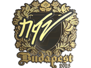 Sticker Slab | NQZ (Gold) | Budapest 2025