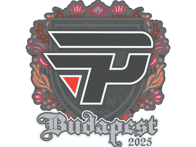 Sticker Slab | paiN Gaming | Budapest 2025