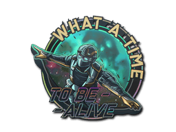 Sticker Slab | Wingsuit (Holo)