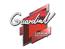 Sticker Slab | GuardiaN | Boston 2018