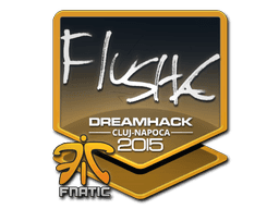Sticker Slab | flusha | Cluj-Napoca 2015