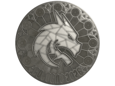 Sticker Slab | Team Spirit (Foil) | Cologne 2026