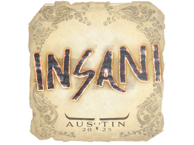 Sticker Slab | insani | Austin 2025