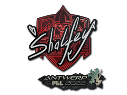 Sticker Slab | shalfey | Antwerp 2022