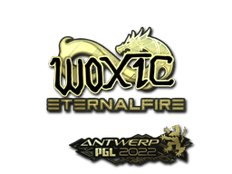 Sticker Slab | woxic (Gold) | Antwerp 2022