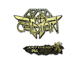 Sticker Slab | cadiaN (Gold) | Antwerp 2022