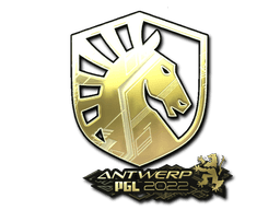 Sticker Slab | Team Liquid (Gold) | Antwerp 2022