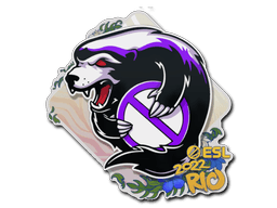 Sticker Slab | Outsiders | Rio 2022