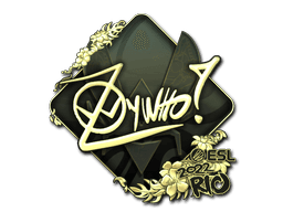 Sticker Slab | ZywOo (Gold) | Rio 2022