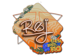 Sticker Slab | roeJ | Rio 2022