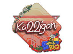 Sticker Slab | karrigan | Rio 2022