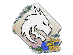 Sticker Slab | Team Spirit | Rio 2022