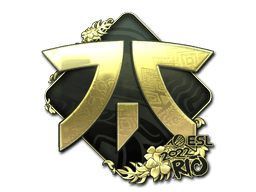 Sticker Slab | Fnatic (Gold) | Rio 2022