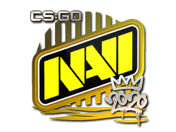 Sticker Slab | Natus Vincere | 2020 RMR