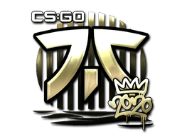Sticker Slab | Fnatic (Gold) | 2020 RMR
