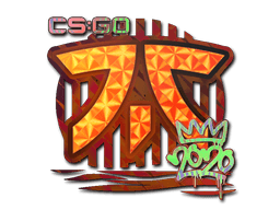Sticker Slab | Fnatic (Holo) | 2020 RMR
