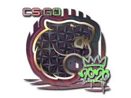 Sticker Slab | FURIA (Holo) | 2020 RMR